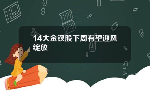 14大金钗股下周有望迎风绽放