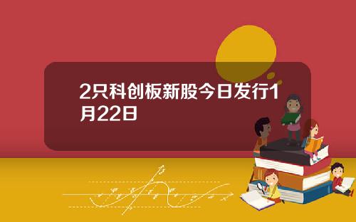 2只科创板新股今日发行1月22日