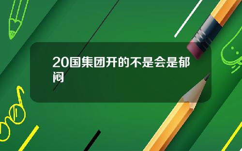 20国集团开的不是会是郁闷