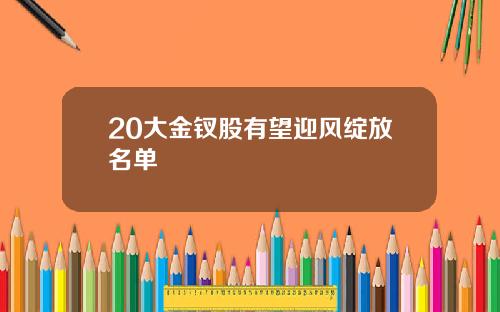 20大金钗股有望迎风绽放名单