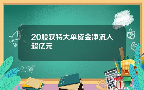 20股获特大单资金净流入超亿元