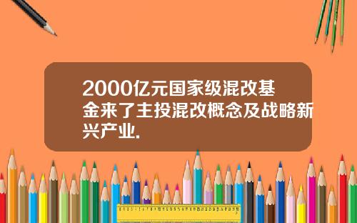 2000亿元国家级混改基金来了主投混改概念及战略新兴产业.