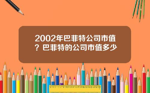 2002年巴菲特公司市值？巴菲特的公司市值多少