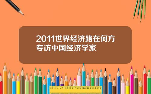 2011世界经济路在何方专访中国经济学家