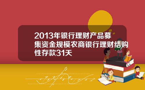 2013年银行理财产品募集资金规模农商银行理财结购性存款31天