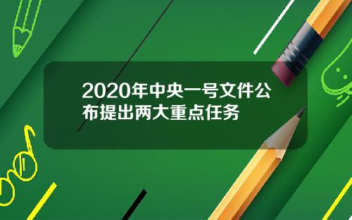 2020年中央一号文件公布提出两大重点任务