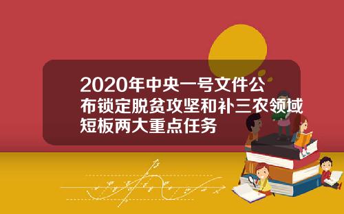 2020年中央一号文件公布锁定脱贫攻坚和补三农领域短板两大重点任务