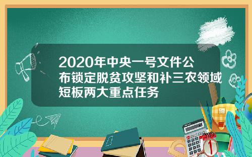 2020年中央一号文件公布锁定脱贫攻坚和补三农领域短板两大重点任务