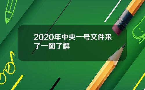 2020年中央一号文件来了一图了解