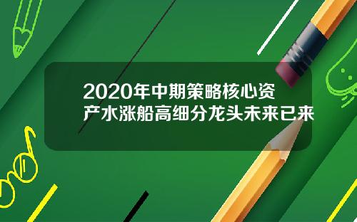 2020年中期策略核心资产水涨船高细分龙头未来已来