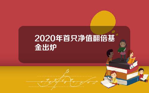 2020年首只净值翻倍基金出炉