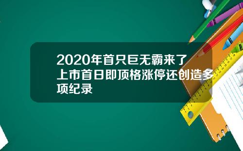 2020年首只巨无霸来了上市首日即顶格涨停还创造多项纪录