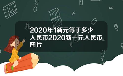 2020年1新元等于多少人民币2020新一元人民币图片