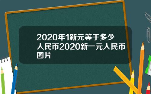 2020年1新元等于多少人民币2020新一元人民币图片