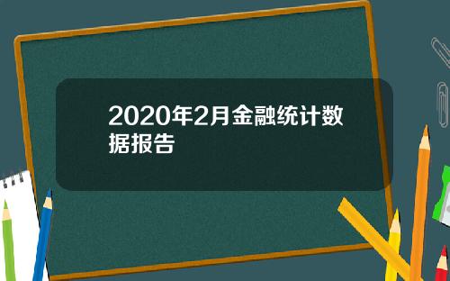 2020年2月金融统计数据报告
