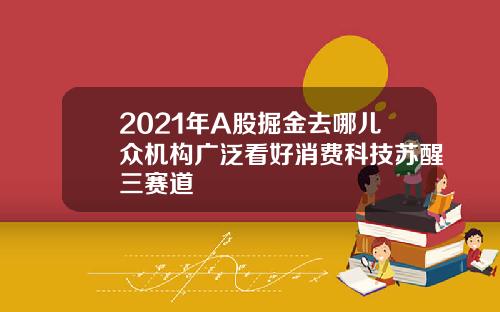 2021年A股掘金去哪儿众机构广泛看好消费科技苏醒三赛道