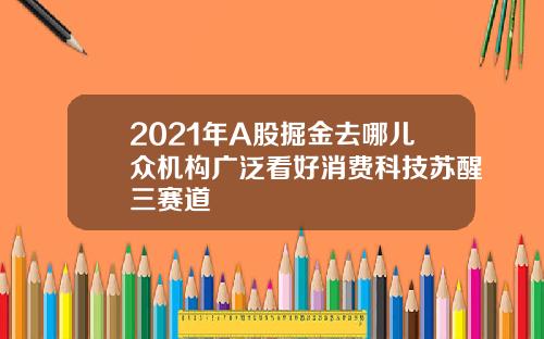 2021年A股掘金去哪儿众机构广泛看好消费科技苏醒三赛道