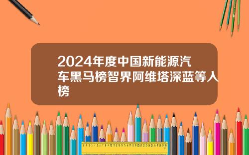 2024年度中国新能源汽车黑马榜智界阿维塔深蓝等入榜