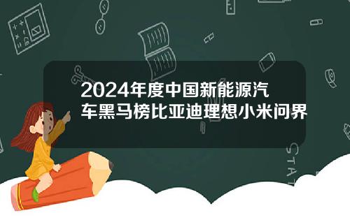 2024年度中国新能源汽车黑马榜比亚迪理想小米问界