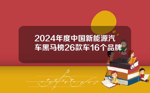 2024年度中国新能源汽车黑马榜26款车16个品牌