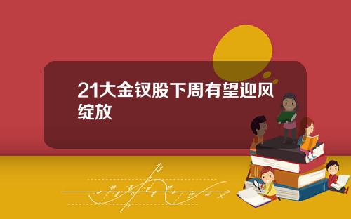 21大金钗股下周有望迎风绽放
