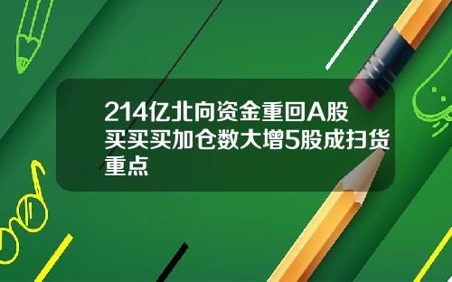214亿北向资金重回A股买买买加仓数大增5股成扫货重点