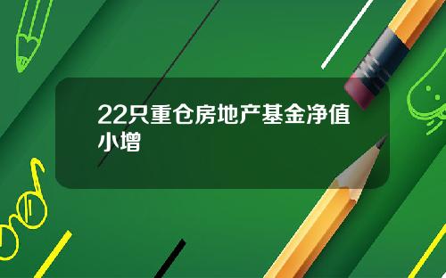 22只重仓房地产基金净值小增