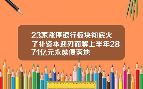 23家涨停银行板块彻底火了补资本迎刃而解上半年2871亿元永续债落地