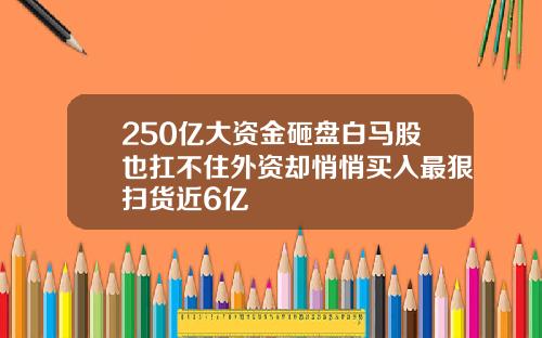 250亿大资金砸盘白马股也扛不住外资却悄悄买入最狠扫货近6亿