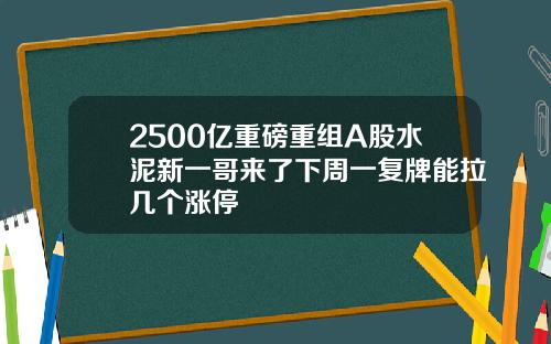 2500亿重磅重组A股水泥新一哥来了下周一复牌能拉几个涨停