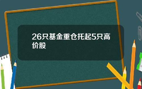26只基金重仓托起5只高价股
