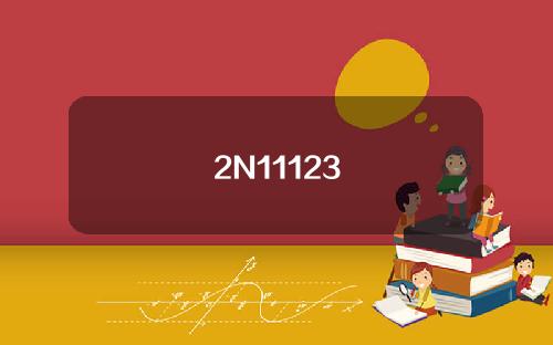 2N11123