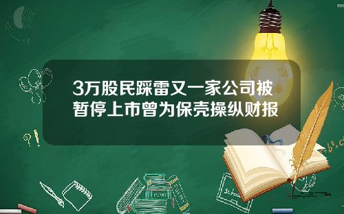 3万股民踩雷又一家公司被暂停上市曾为保壳操纵财报