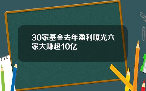 30家基金去年盈利曝光六家大赚超10亿