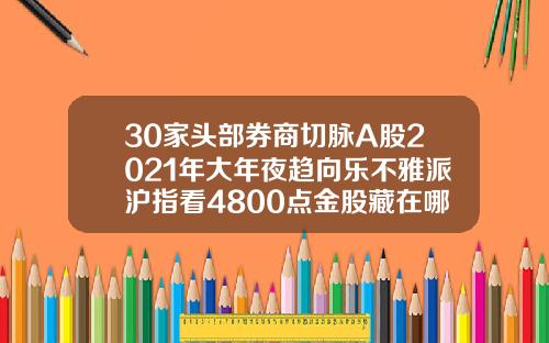 30家头部券商切脉A股2021年大年夜趋向乐不雅派沪指看4800点金股藏在哪
