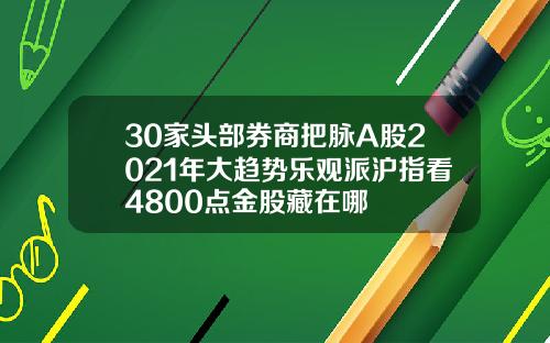 30家头部券商把脉A股2021年大趋势乐观派沪指看4800点金股藏在哪