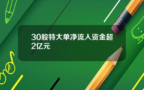 30股特大单净流入资金超2亿元