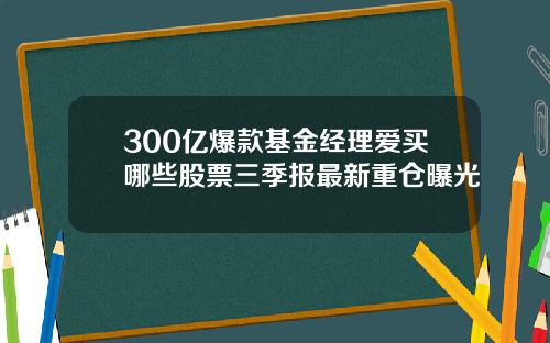 300亿爆款基金经理爱买哪些股票三季报最新重仓曝光