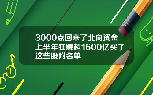 3000点回来了北向资金上半年狂赚超1600亿买了这些股附名单