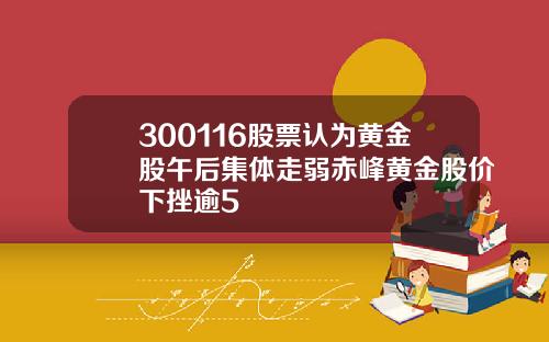 300116股票认为黄金股午后集体走弱赤峰黄金股价下挫逾5