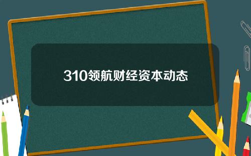 310领航财经资本动态