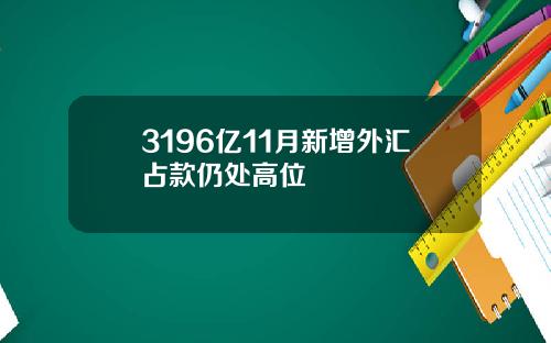 3196亿11月新增外汇占款仍处高位
