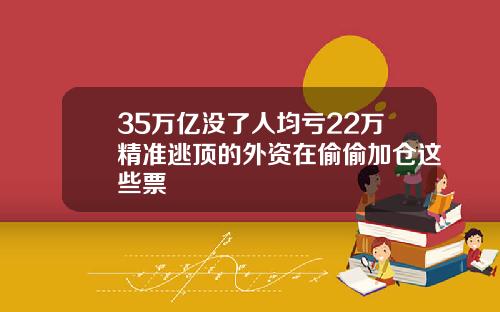 35万亿没了人均亏22万精准逃顶的外资在偷偷加仓这些票