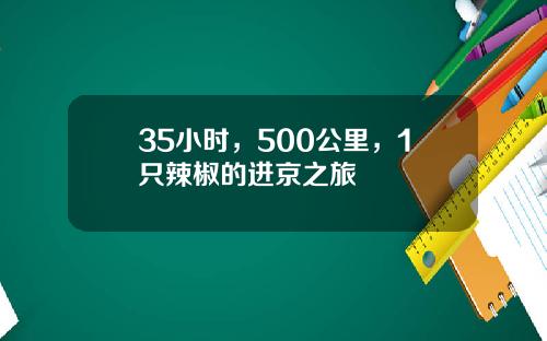 35小时，500公里，1只辣椒的进京之旅