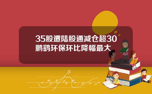 35股遭陆股通减仓超30鹏鹞环保环比降幅最大