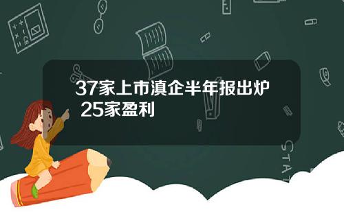37家上市滇企半年报出炉 25家盈利