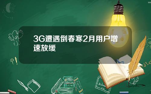3G遭遇倒春寒2月用户增速放缓