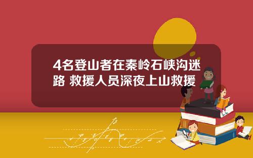 4名登山者在秦岭石峡沟迷路 救援人员深夜上山救援