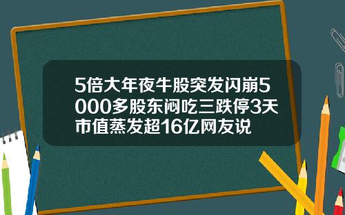 5倍大年夜牛股突发闪崩5000多股东闷吃三跌停3天市值蒸发超16亿网友说