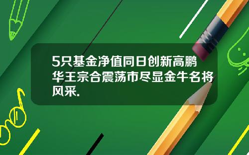 5只基金净值同日创新高鹏华王宗合震荡市尽显金牛名将风采.